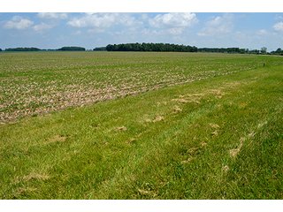 Property photo 47 - LAND AUCTION - 700+/- ACRES OFFERED IN 16 TRACTS IN ALLEN COUNTY, INDIANA